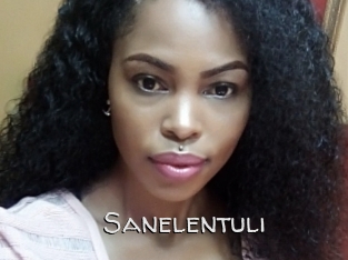 Sanelentuli