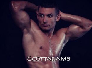 Scottadams