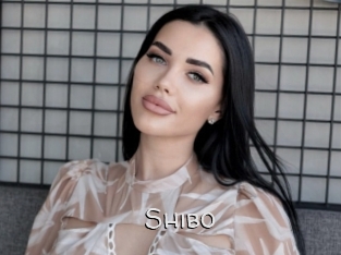 Shibo