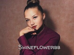Shineflowerbb