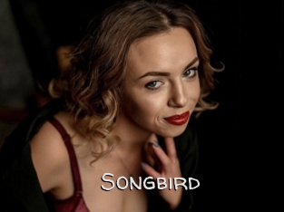 songbird Adult dvd gold