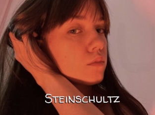 Steinschultz