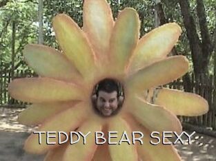 TEDDY_BEAR_SEXY