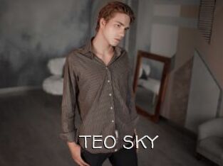 TEO_SKY