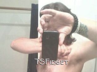 TSFidget