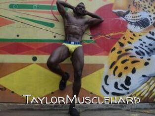 TaylorMusclehard