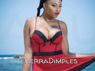 TierraDimples Adult dvd gold