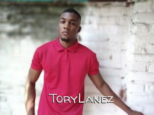 ToryLanez