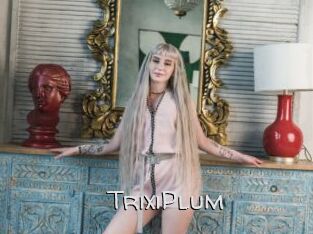 TrixiPlum