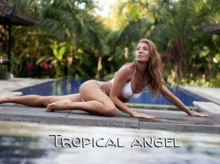 Tropical_angel