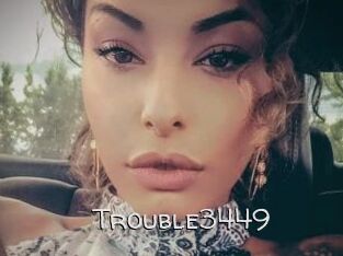 Trouble3449