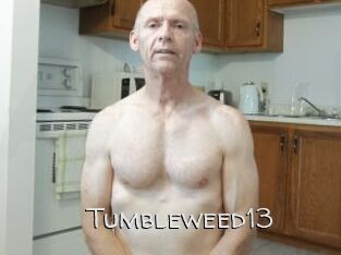 Tumbleweed13