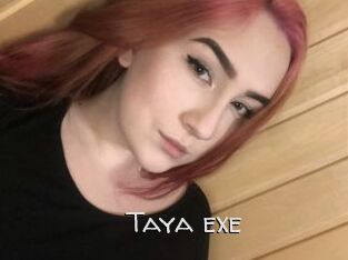 Taya_exe