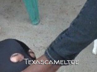 Texascameltoe