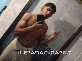 Thebarackrabbit