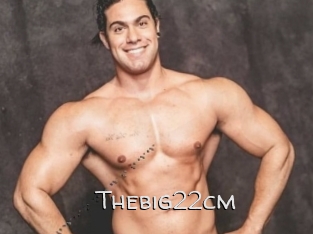 Thebig22cm