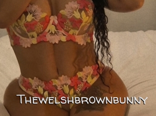 Thewelshbrownbunny