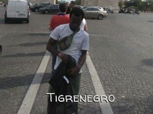 Tigrenegro