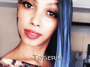 Tijgerin