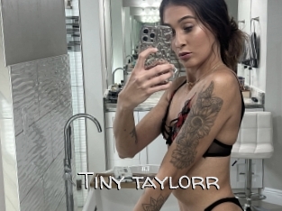 Tiny_taylorr