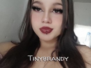 Tinybrandy