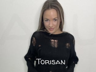 Torisan
