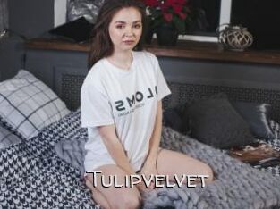 Tulipvelvet