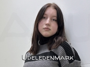 Udeledenmark