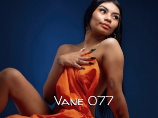 Vane_077