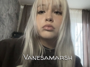 Vanesamarsh