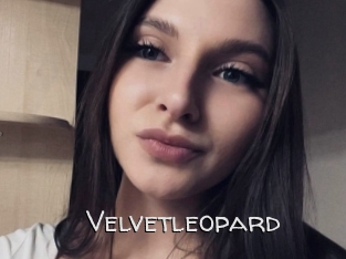 Velvetleopard