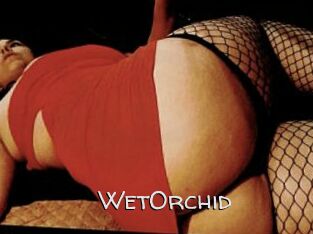 WetOrchid