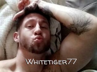 Whitetiger77