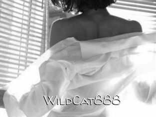 WildCat888