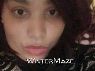 Winter_Maze