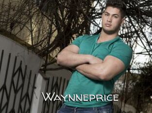 Waynneprice