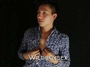 Wildboysex