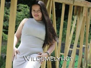 Wildemelyhot