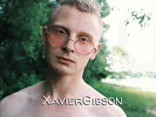 XavierGibson Adult dvd gold