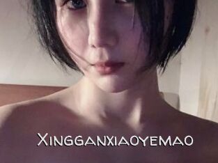 Xingganxiaoyemao