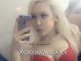 Xoxosnowbunny