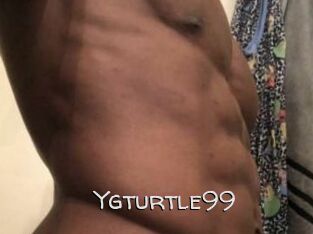 Ygturtle99