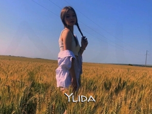 ylida Adult dvd gold