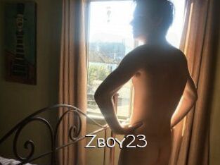 Zboy23