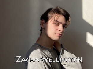 zacharyellington Adult dvd gold