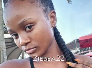 Ziebea22
